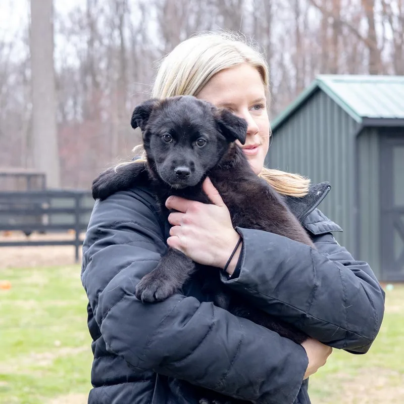 Parsleyavail thumbnail 5