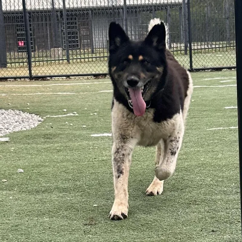 Taye Diggs thumbnail 2