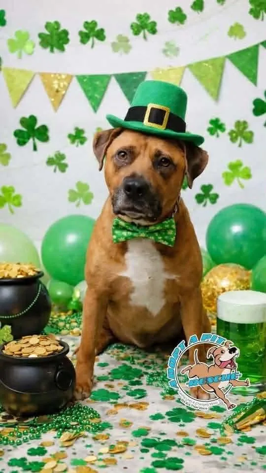 Wyatt Derp thumbnail 2