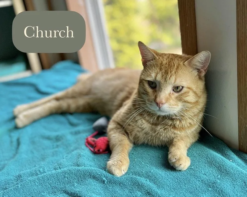 Church thumbnail 2