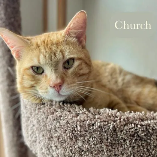 Church thumbnail 3