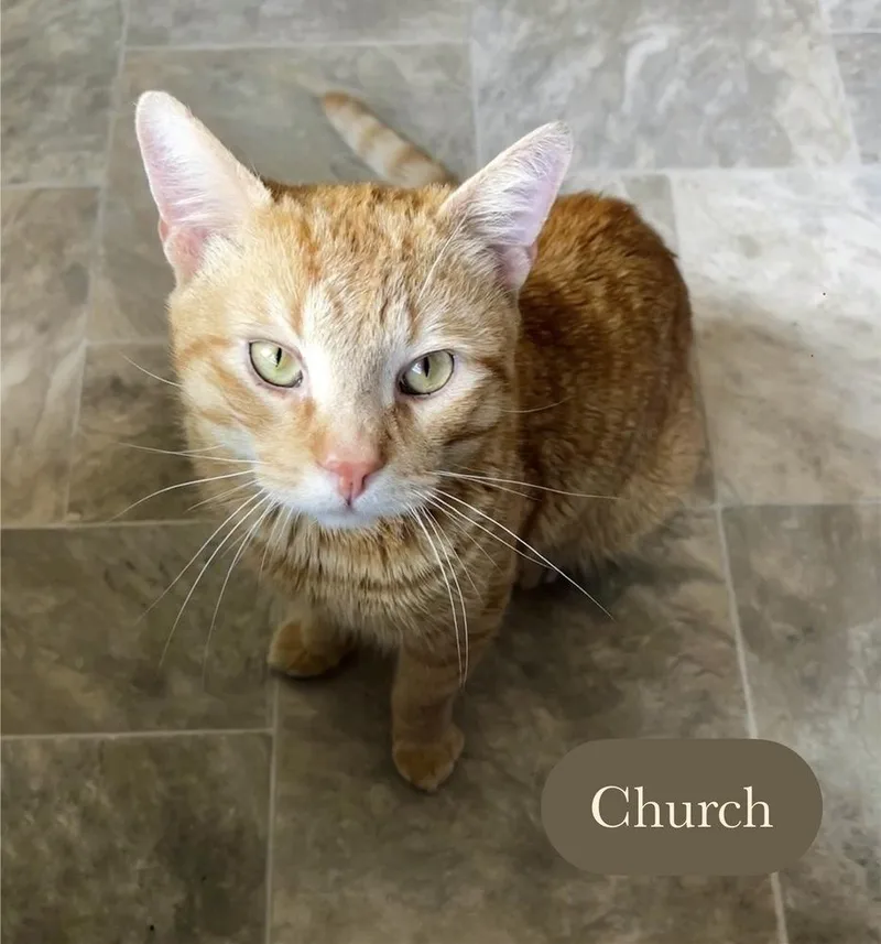 Church thumbnail 4