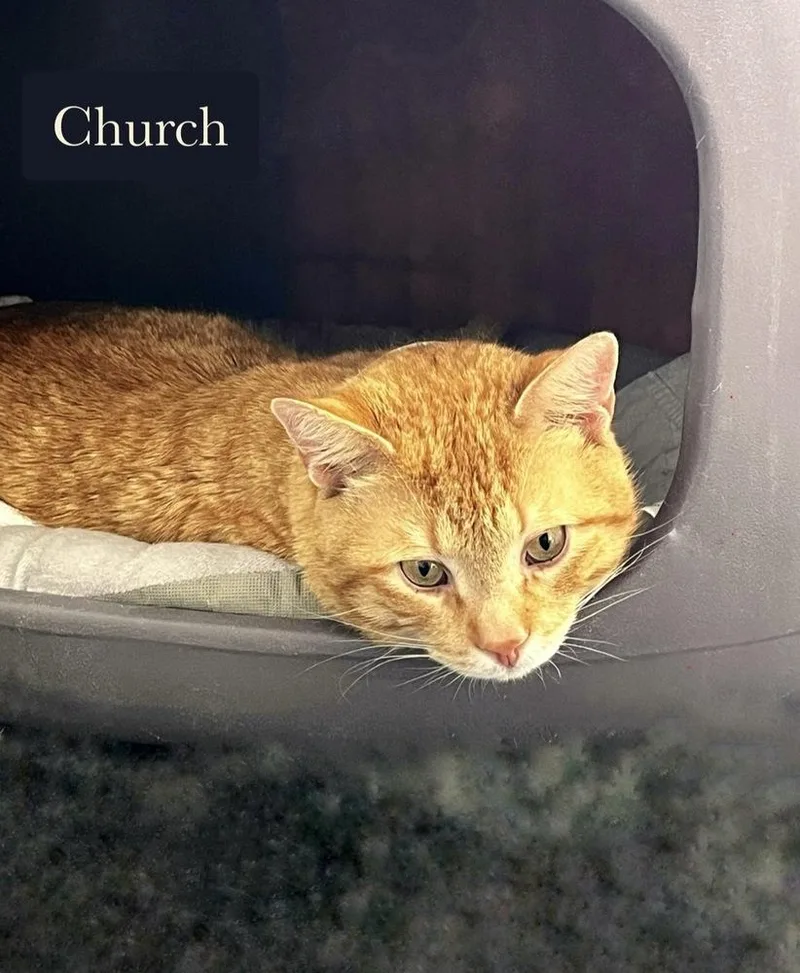 Church thumbnail 5
