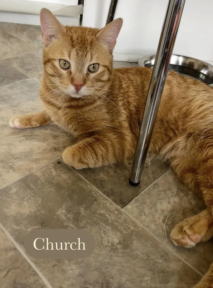 Church thumbnail 6