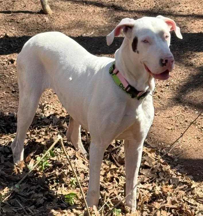 Ursula Special Needs