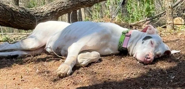 Ursula  Special Needs thumbnail 2