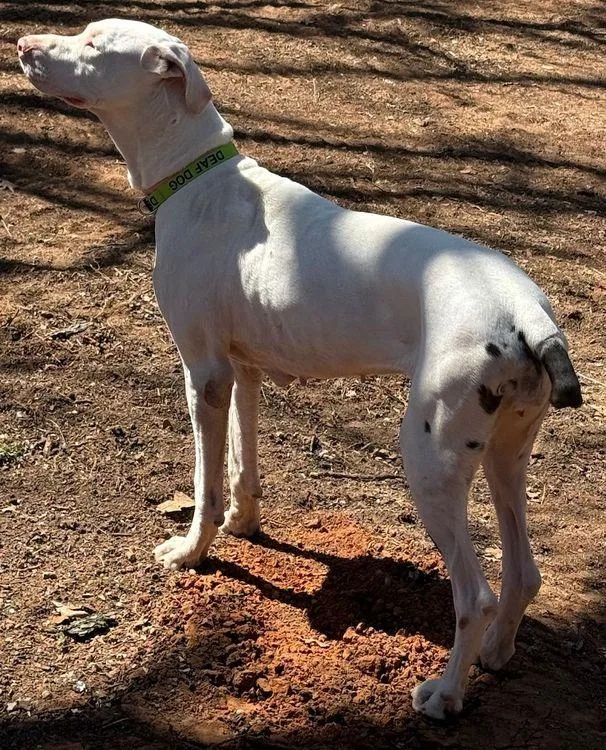 Ursula  Special Needs thumbnail 3