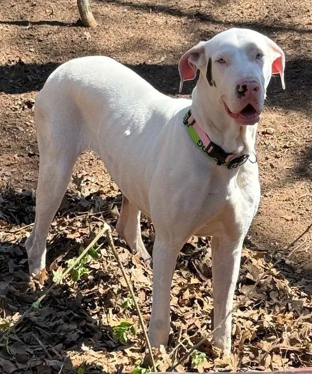 Ursula  Special Needs thumbnail 4