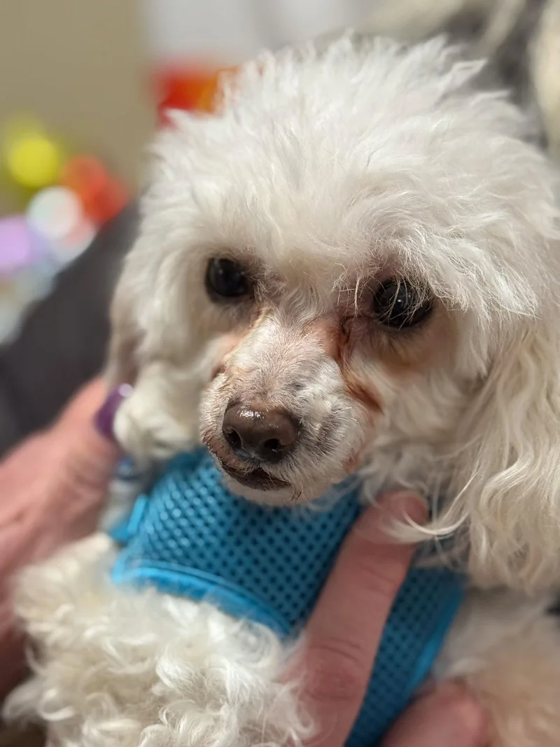 Jimmy John thumbnail 2