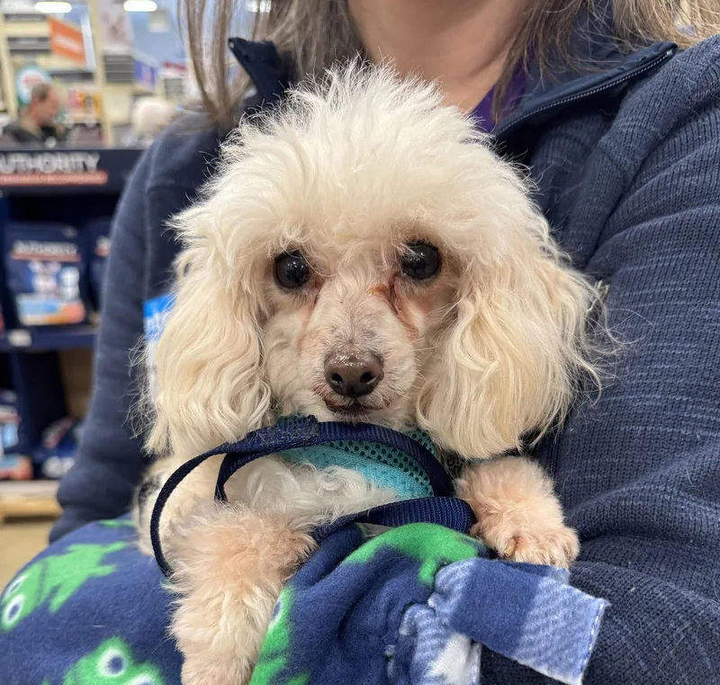 Jimmy John thumbnail 3