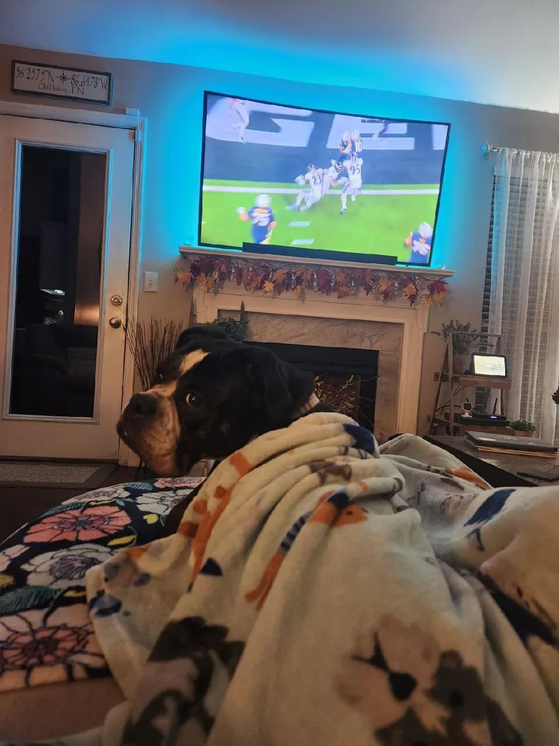 Ellie Mae thumbnail 2