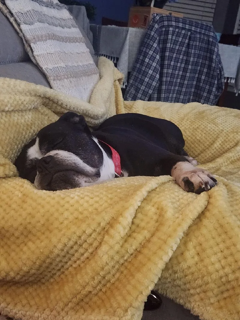 Ellie Mae thumbnail 3