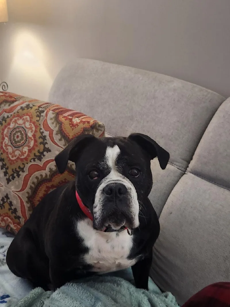 Ellie Mae thumbnail 4