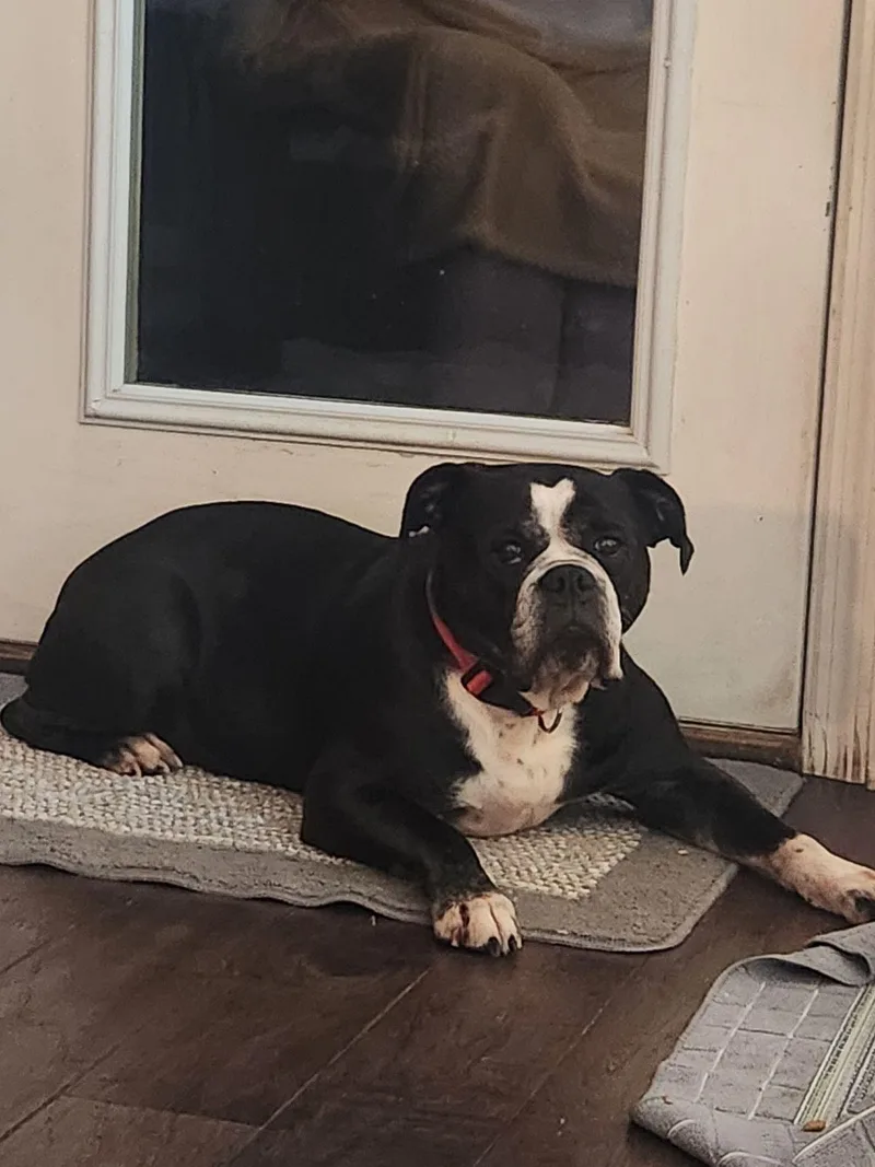 Ellie Mae thumbnail 5