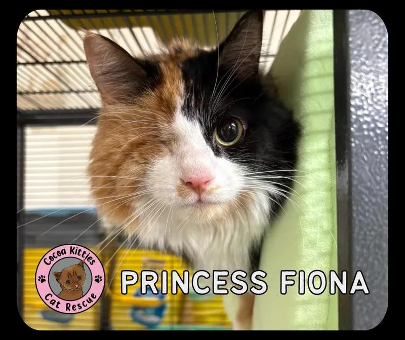 Princess Fiona