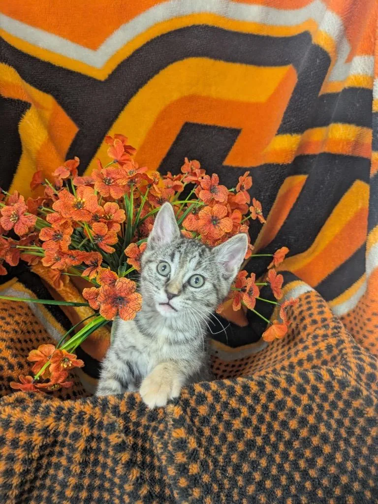 Nina