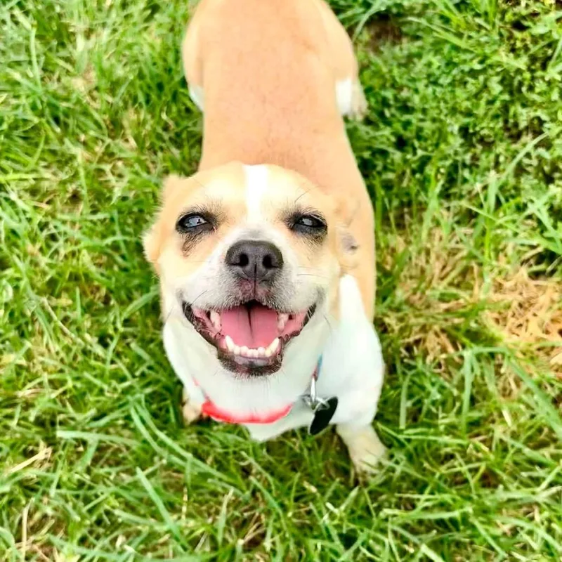 Lucy