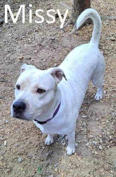 Missy