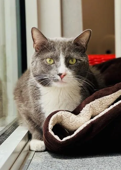 Frankie