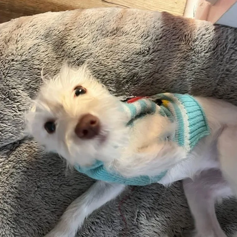 Chloe thumbnail 3