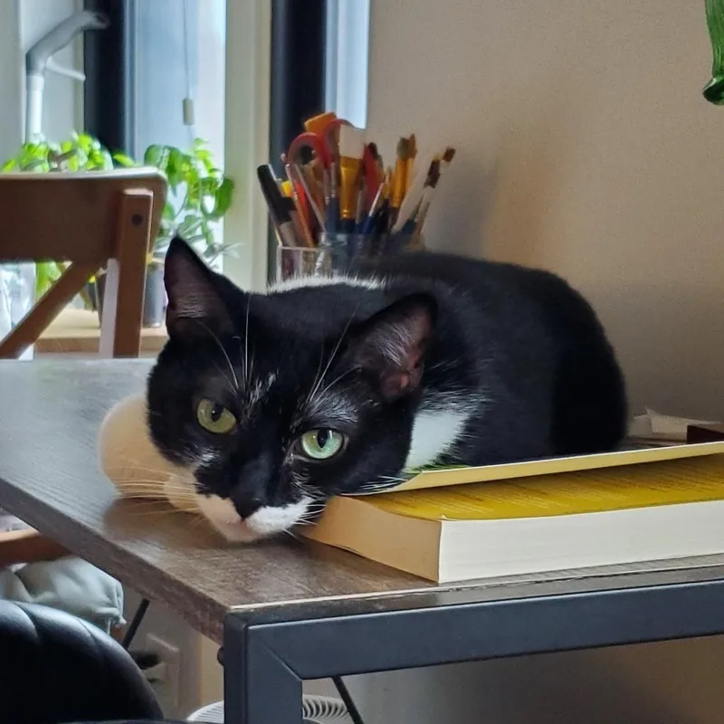 Cleo thumbnail 2