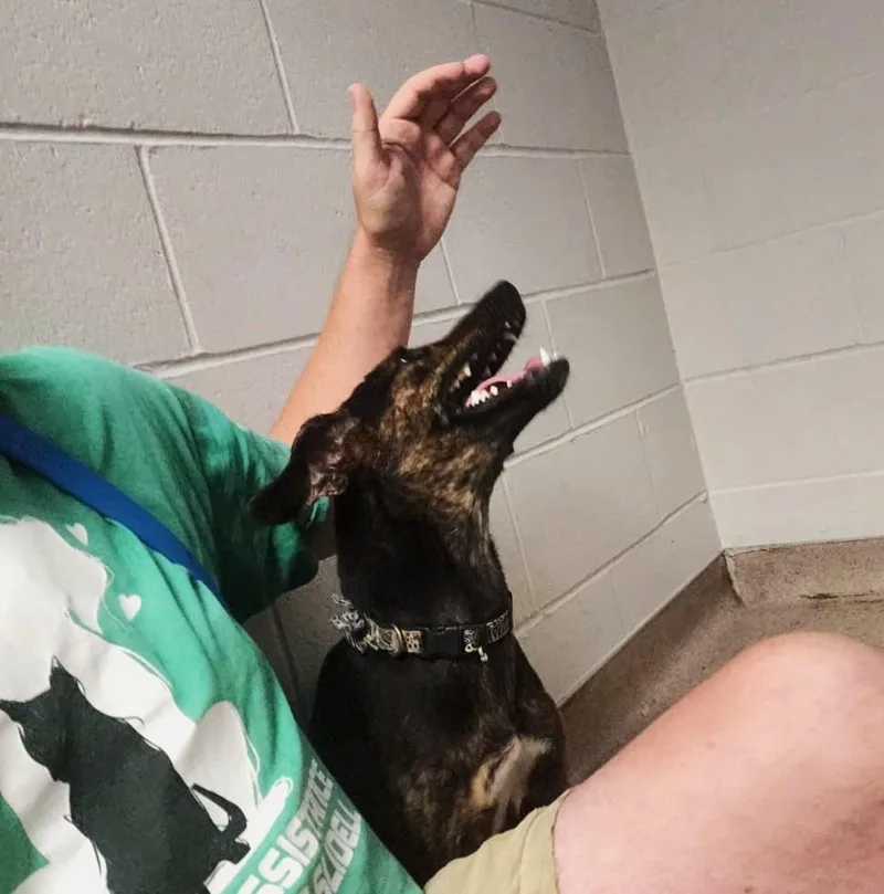 Gladys thumbnail 2