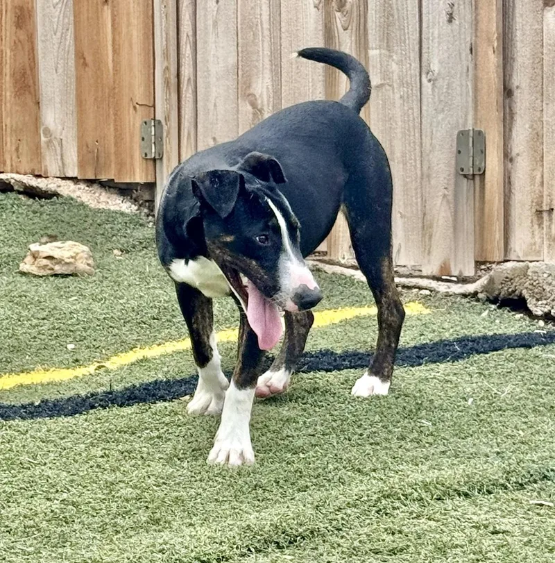 Mr.clean thumbnail 4