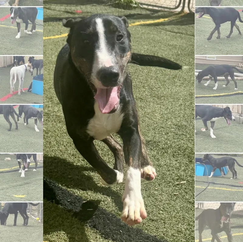 Mr.clean thumbnail 5