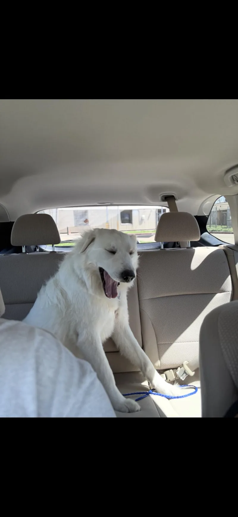 Newt Htx thumbnail 4