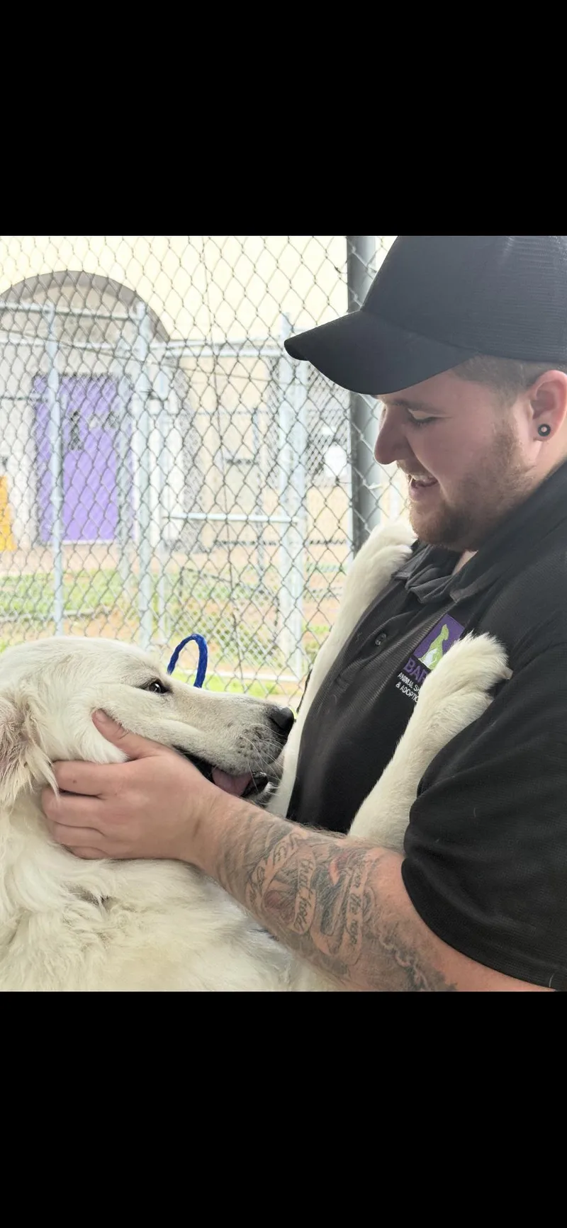 Newt Htx thumbnail 6