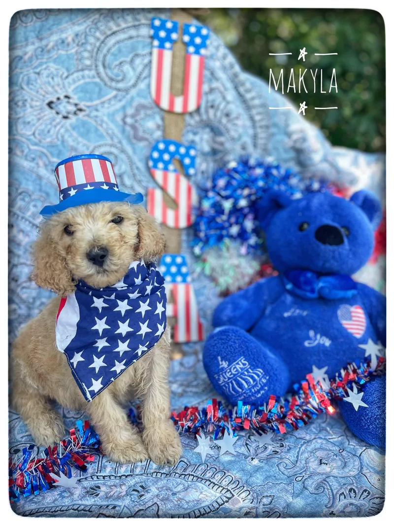 MaKyla thumbnail 5