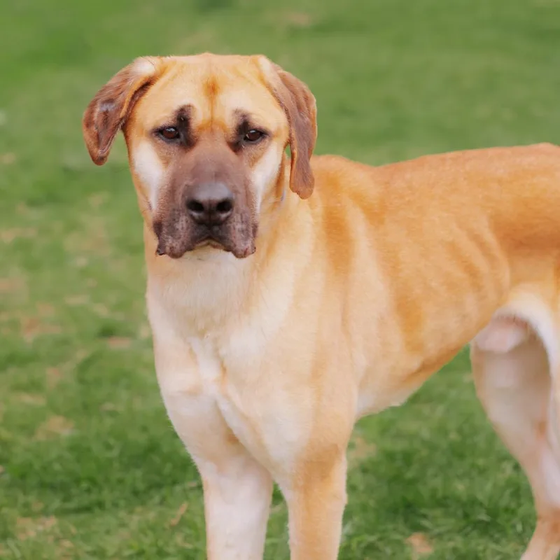 Gwangbok thumbnail 2