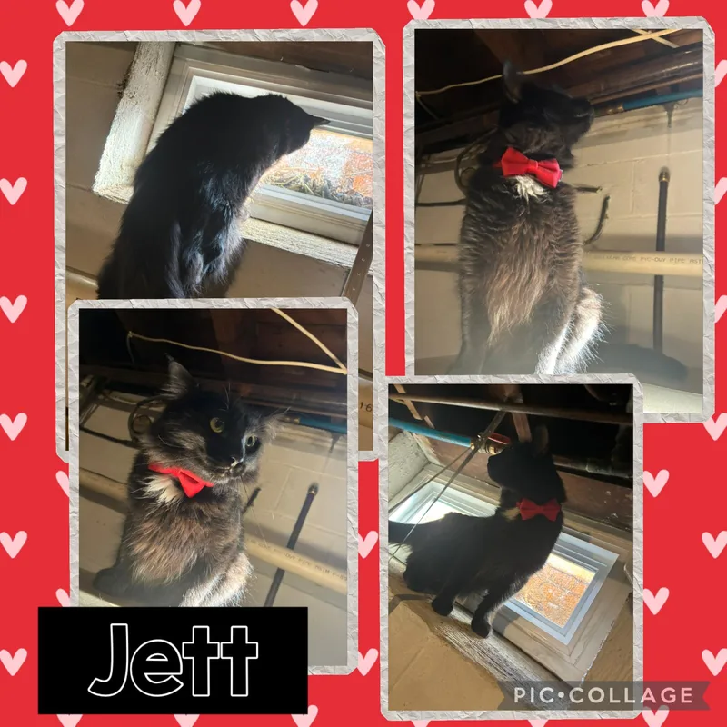 Jett