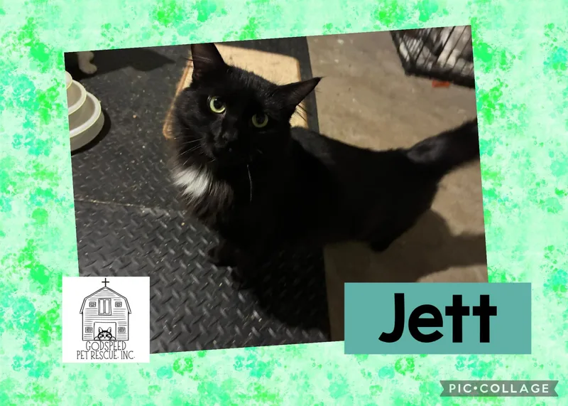 Jett thumbnail 4
