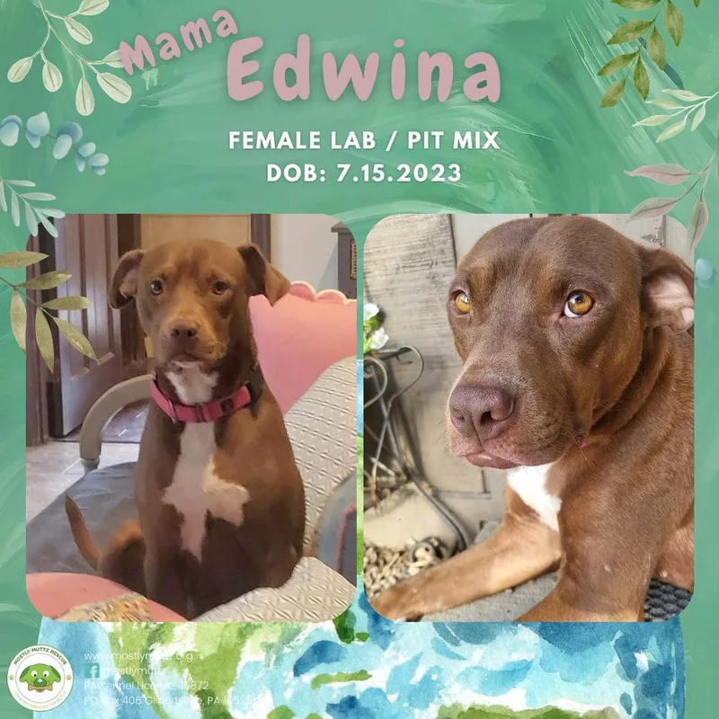 Edwina thumbnail 2
