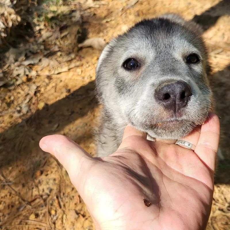 Stewart thumbnail 2