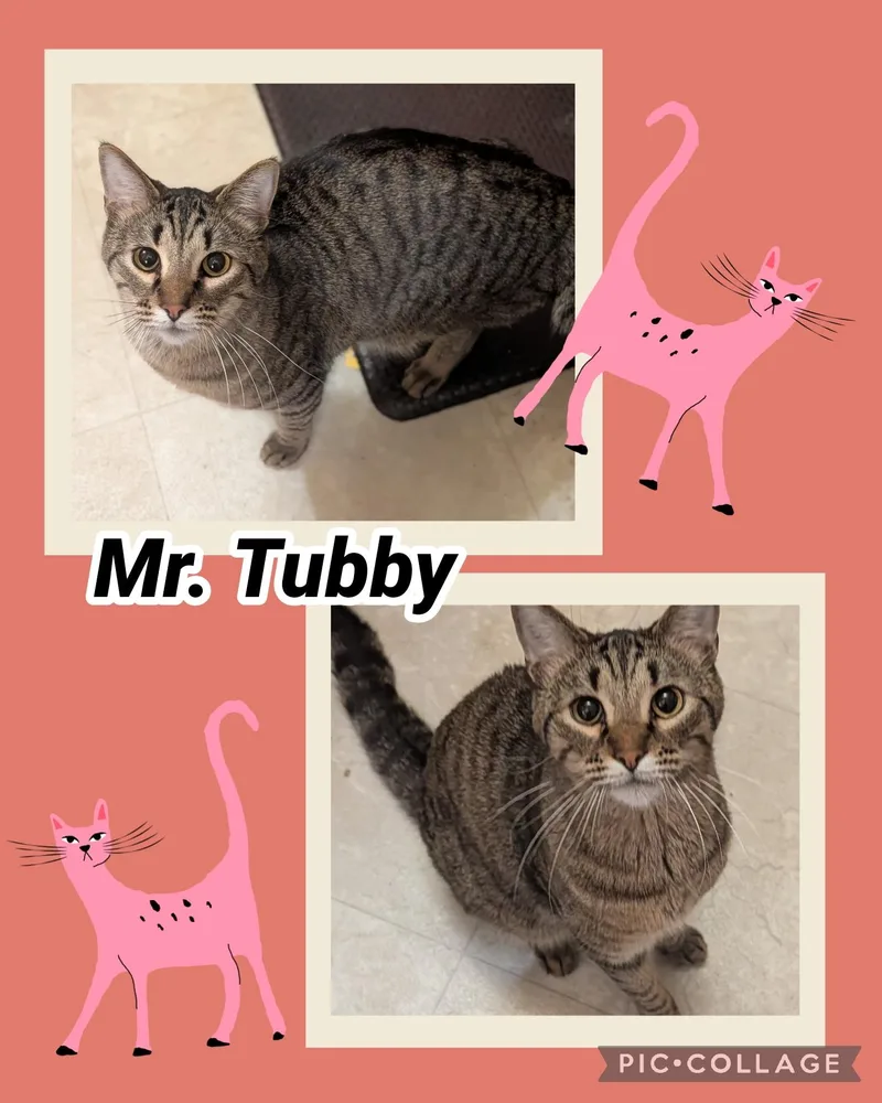 Tubby