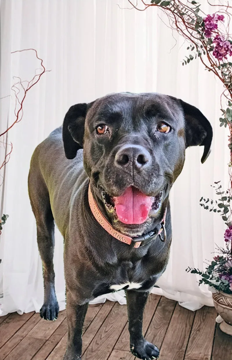 Juliette thumbnail 3