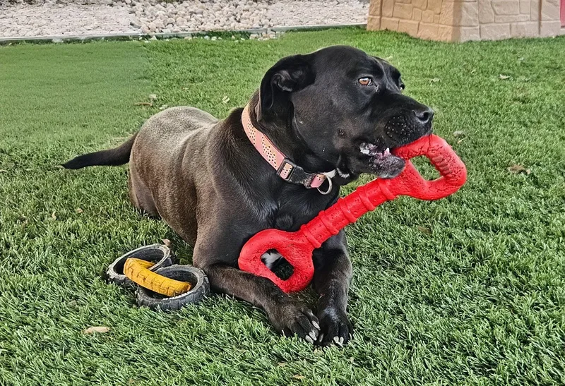 Juliette thumbnail 4