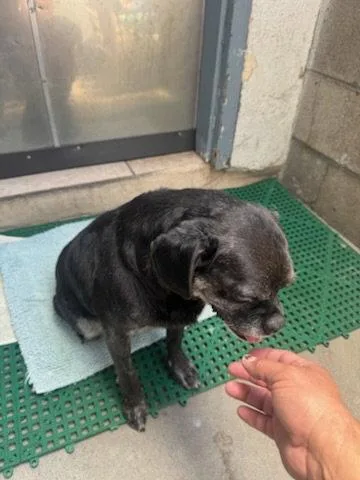 Pugsy Malone thumbnail 3