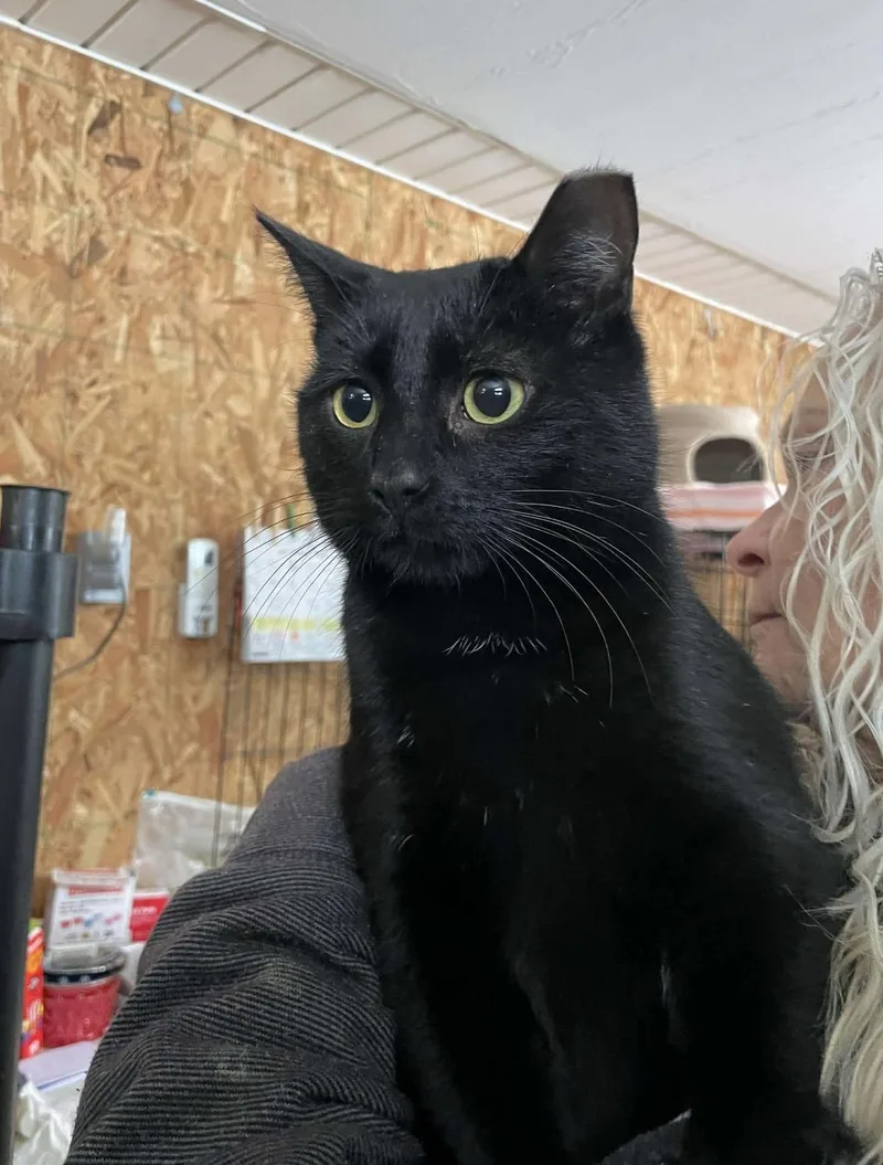 Santiago thumbnail 2