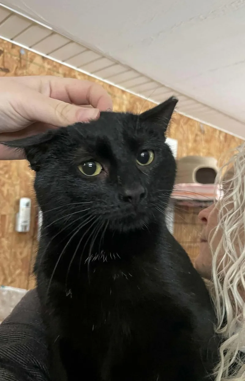 Santiago thumbnail 4