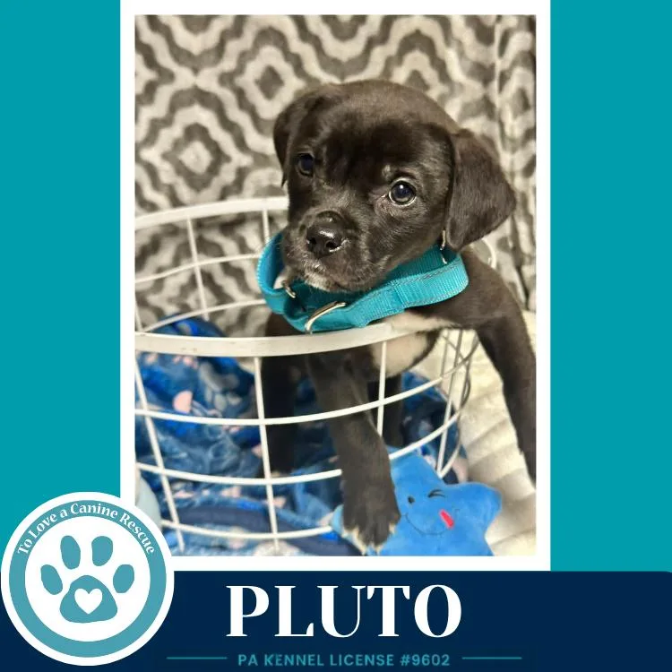 Pluto thumbnail 2