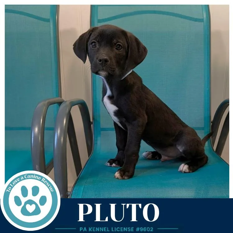 Pluto thumbnail 3