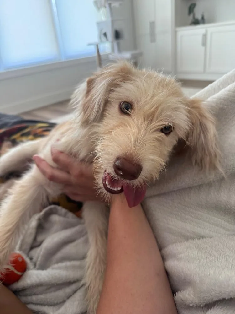 Sasha thumbnail 3
