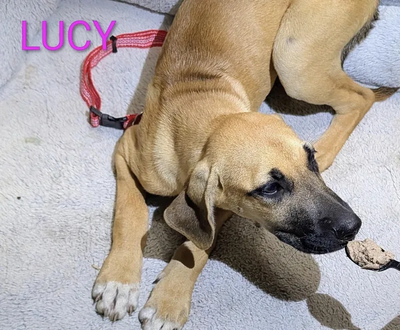 Lucy.