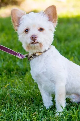 Baxter thumbnail 2