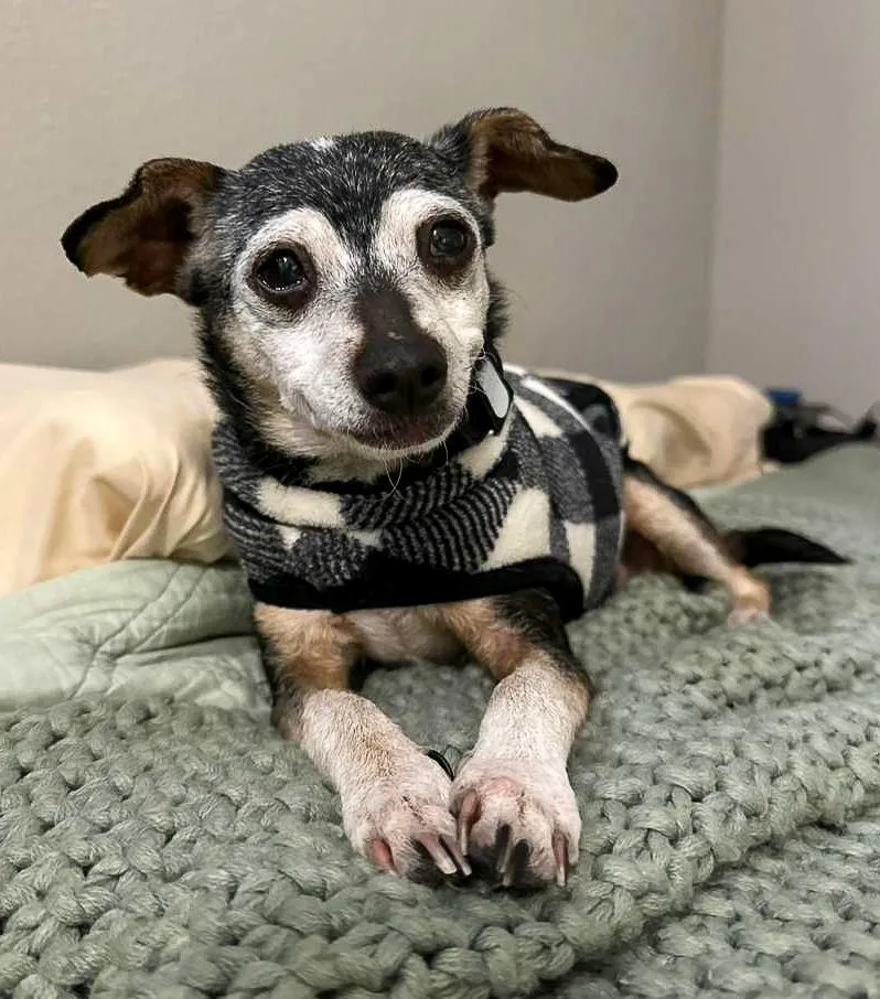 Ms. Poppins thumbnail 2