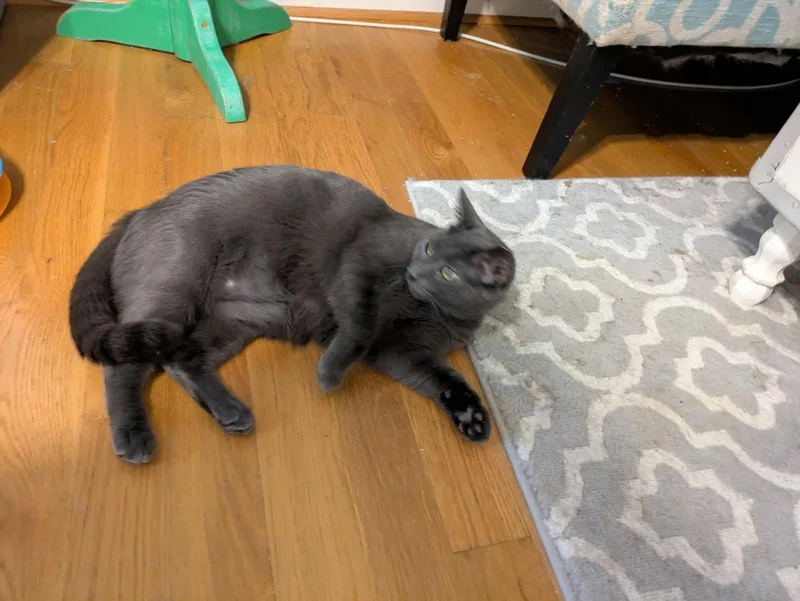 Bradford thumbnail 3