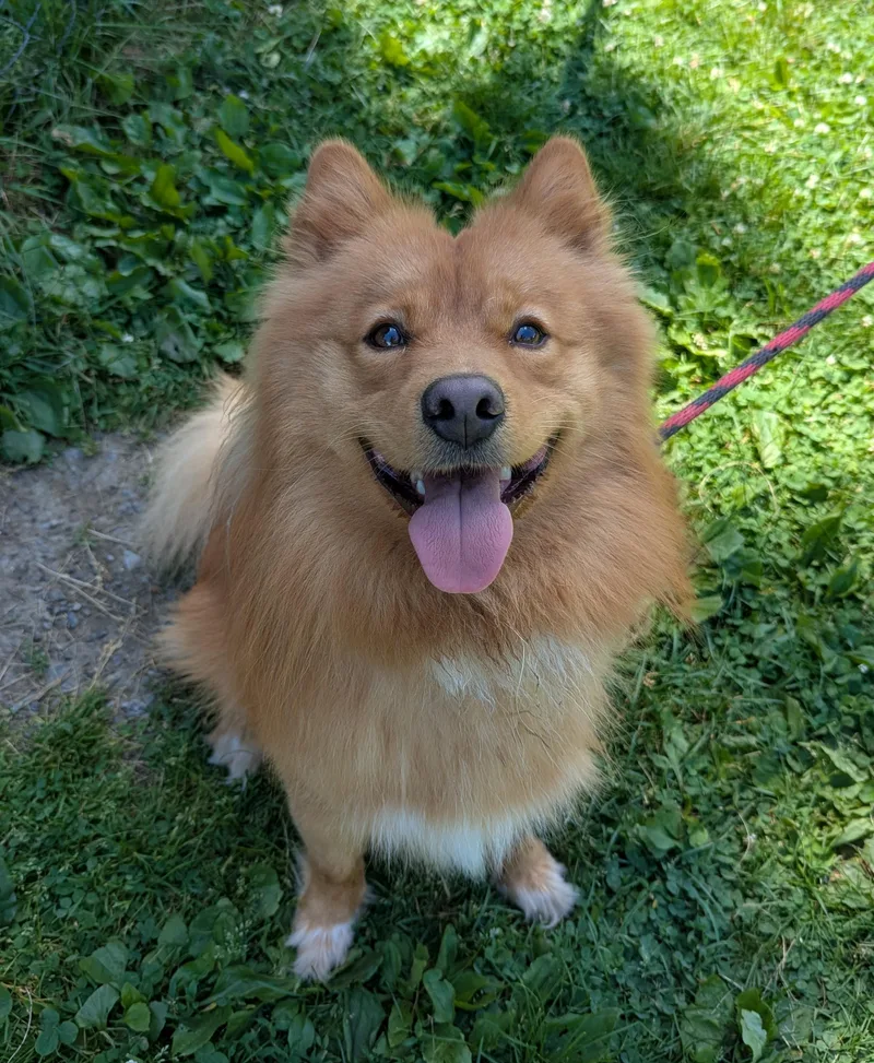 Zeus